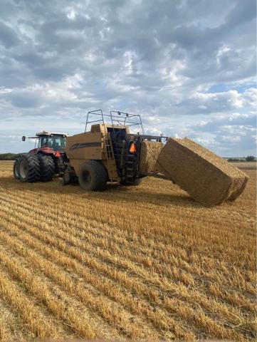 Alberta Hay And Feed Directory Ropin The Web